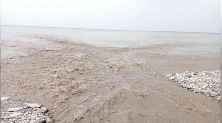 Karadeniz'in rengi kahverengiye döndü