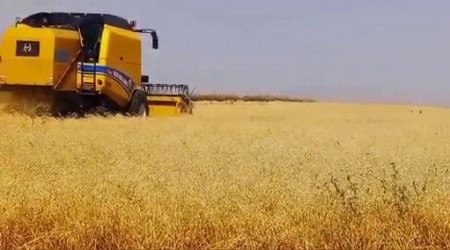 Kars'ta emekler ekmeğe dönüşüyor