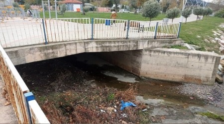 Kocaeli'de sahilde erkek cesedi bulundu