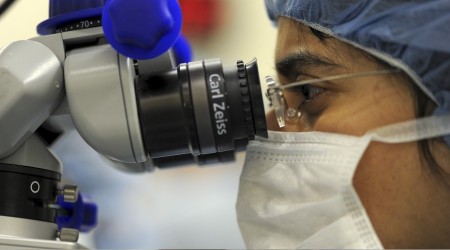 ‘Kornea naklinde başarı yüksek’