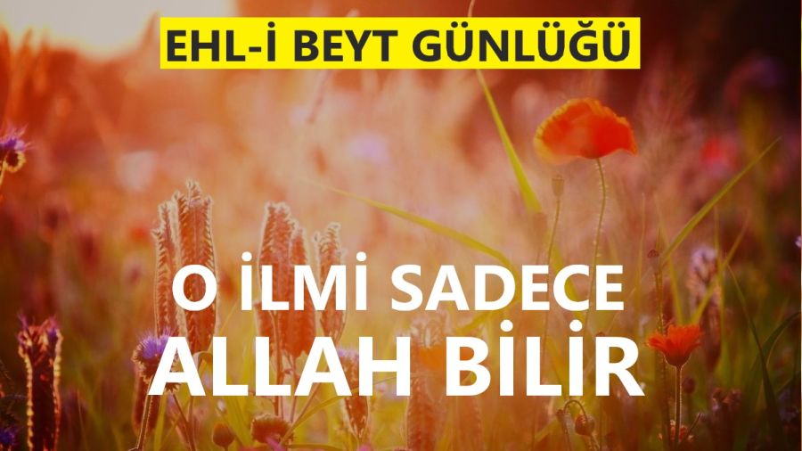 O ilmi sadece Allah bilir