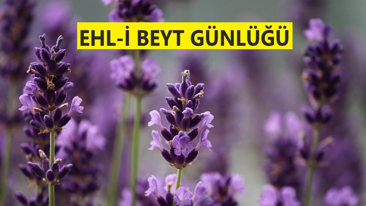 Onlara Arş’ın etrafında minberler kurulacak