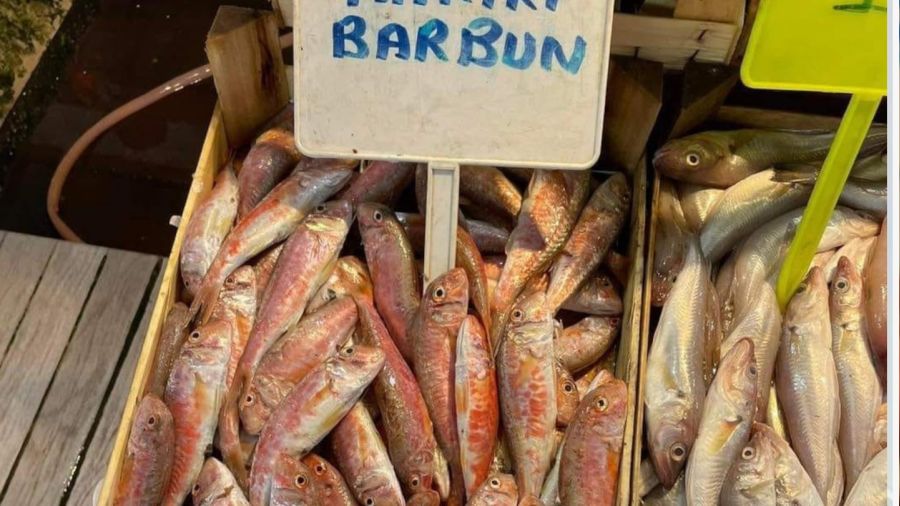 Tezgahlarda balık bolluğu