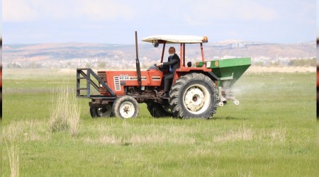 'Türkiye'de ot sorunu var'