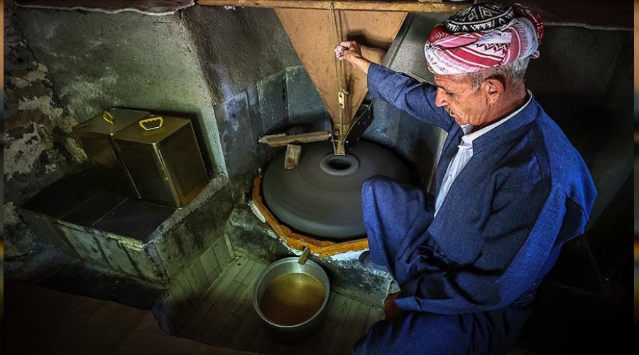 Türkiye'nin en enfes tahini Çukurca'dan