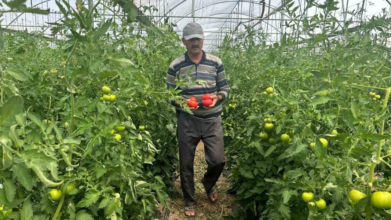 'Ürünün yüzde 45'i vatandaşın eline ulaşamadan israf oluyor'