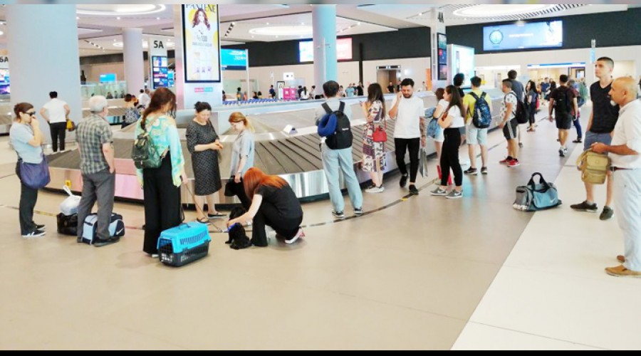 Vatandaşlar seçim için İstanbul'a dönüyor