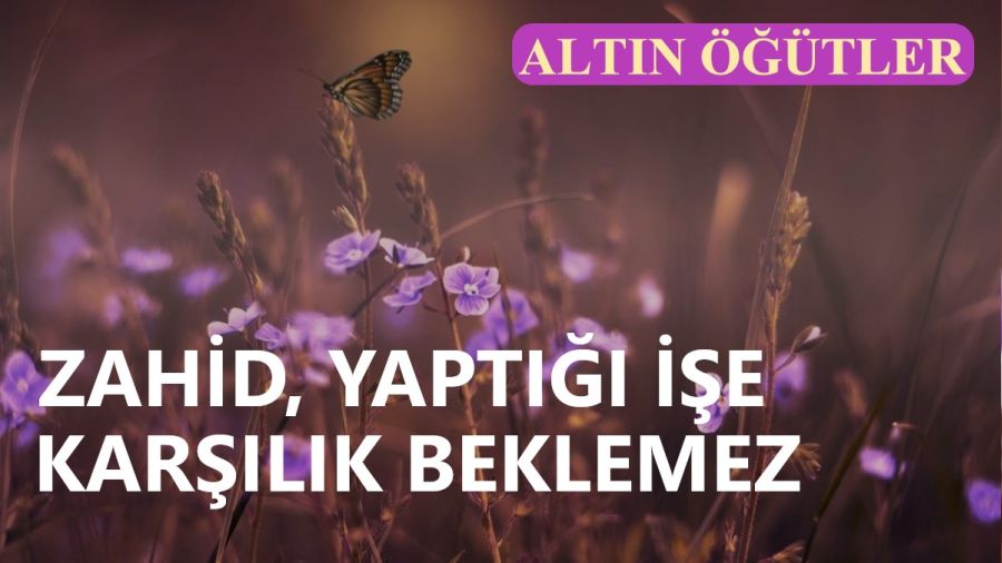 Zahid, yaptığı işe karşılık beklemez