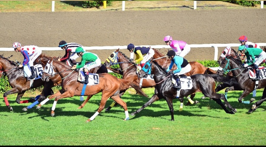 94. Gazi Koşusu heyecanı