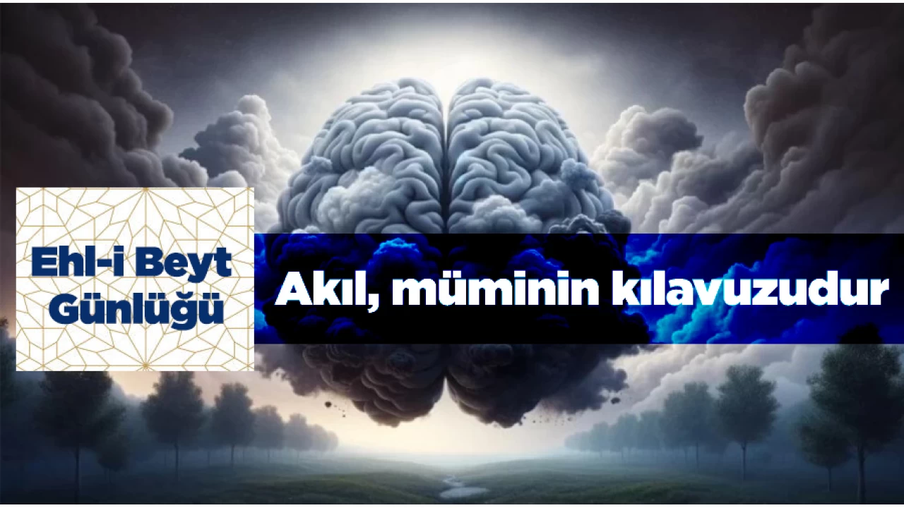 Akıl, müminin kılavuzudur