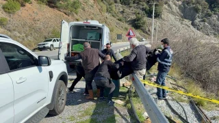 Antalya'da karayolu kenarında kadın cesedi bulundu