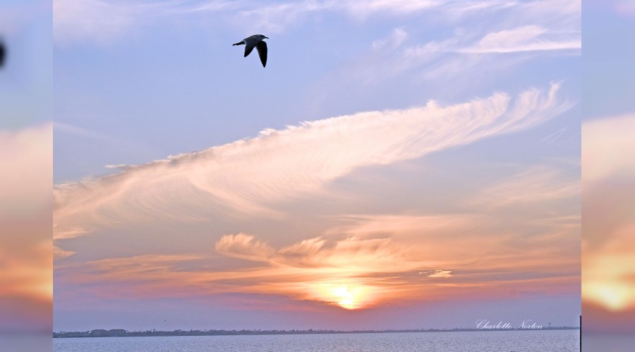 'Ben bu vazifeye lâyık değilim'