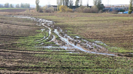  Besi iftliini jandarmaya ikayet etti