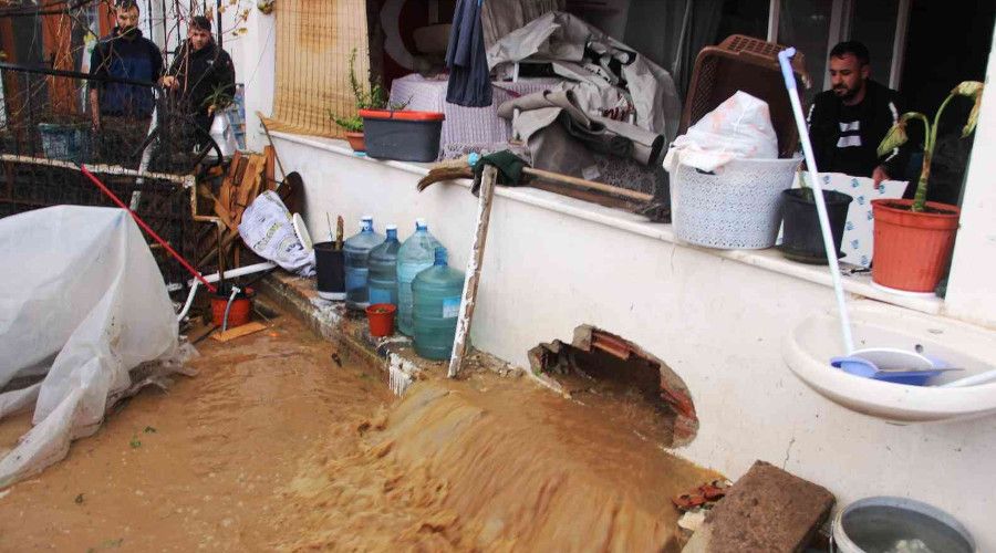 Bodrum'da sel faciası, evleri su bastı, sokak hayvanları boğuldu