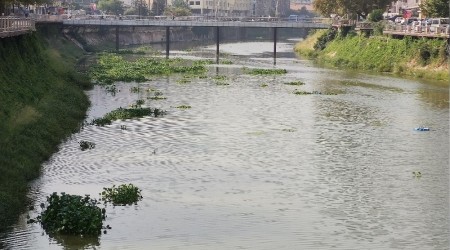 Bütün nehri istila etmişlerdi, yine geldiler