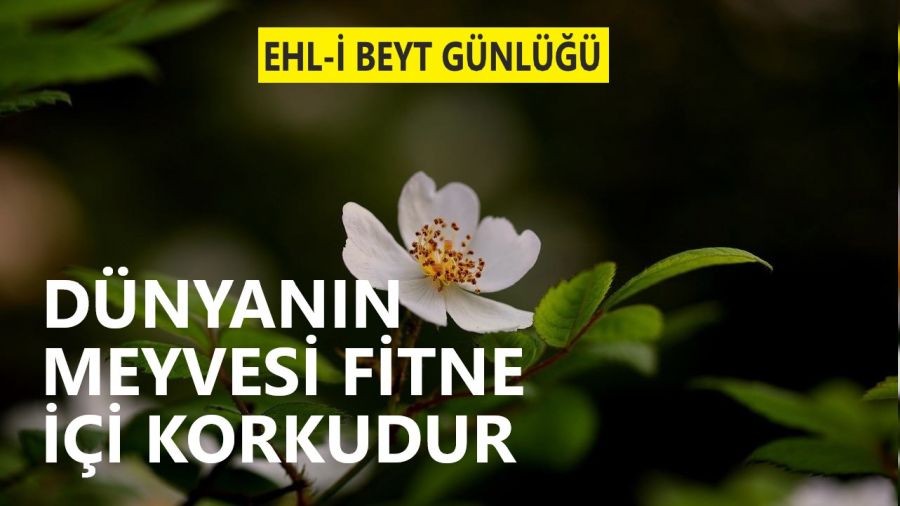 Dünyanın, meyvesi fitne, içi korkudur