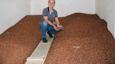 Fındık fiyatı 26 liraya yükseldi