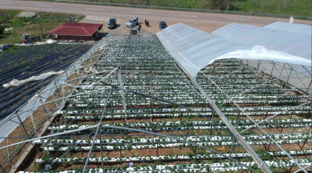 Fırtınada çilek serası 400 bin TL zarara uğradı