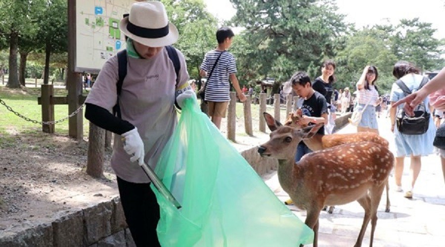 Geyiklerin ölüm nedeni: “Plastik atıklar”