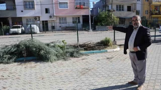 İmam ile dernek başkanı arasında 'ağaç kesme' tartışması