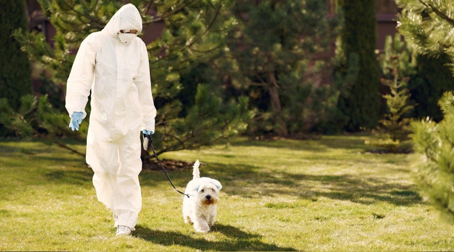 İşte dünyanın koronavirüs karnesi