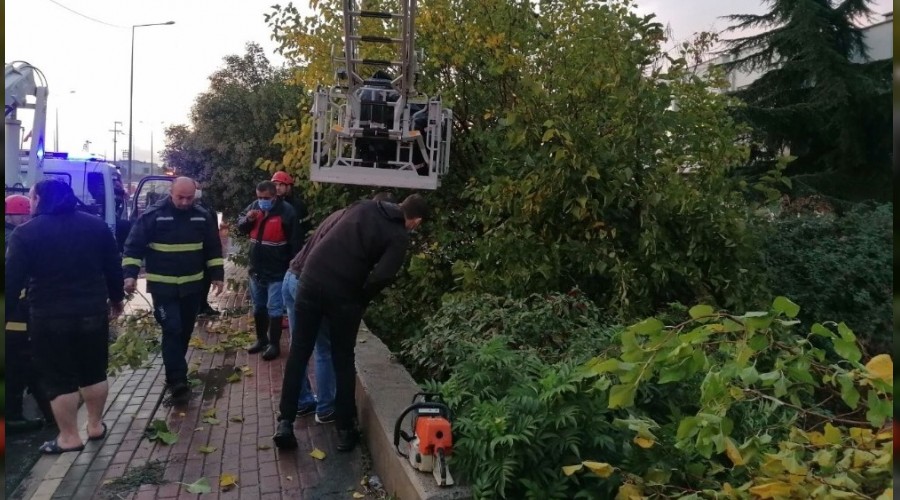 Kocaeli'de otomobil ağaçta asılı kaldı