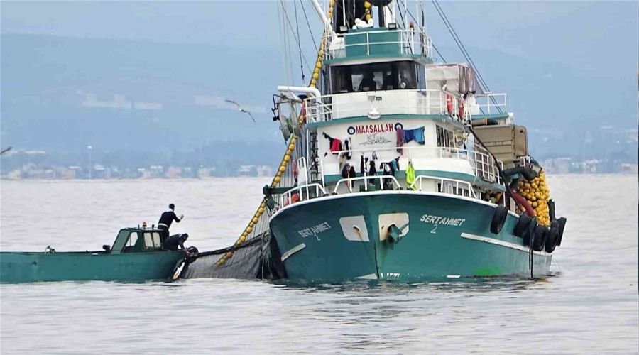 Körfez'de 600 bin ton hamsi yakaladılar