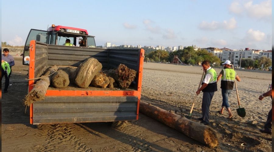 O tomruklar Samsun sahillerinde: 200 km sürüklendiler