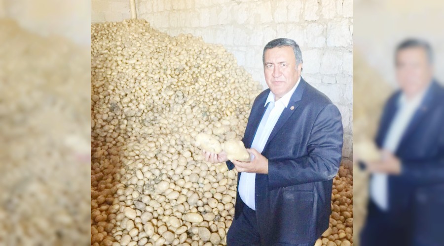 Patates depoda kaldı