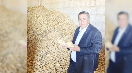 Patates depoda kaldı