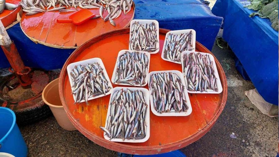 Sezonun son hamsileri 30 liradan satıldı