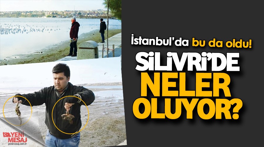 Silivri'de neler oluyor?