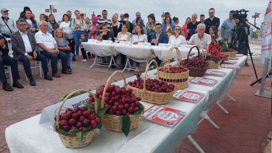 Tekirda'da kiraz gzellik yarmas dzenlendi