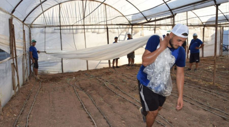 Toprak sıcaklığını 100 dereceye çıkarıp doğal dezenfekte sağlıyorlar