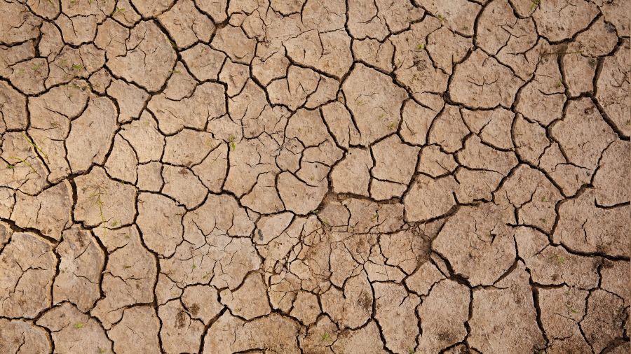 Topraklarımız yok oluyor