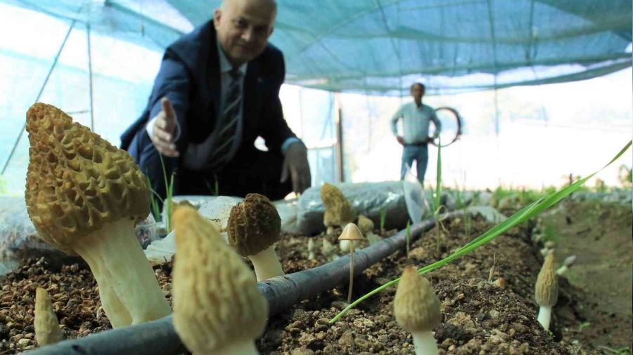 Türkiye'de ilk defa üretimi yapıldı