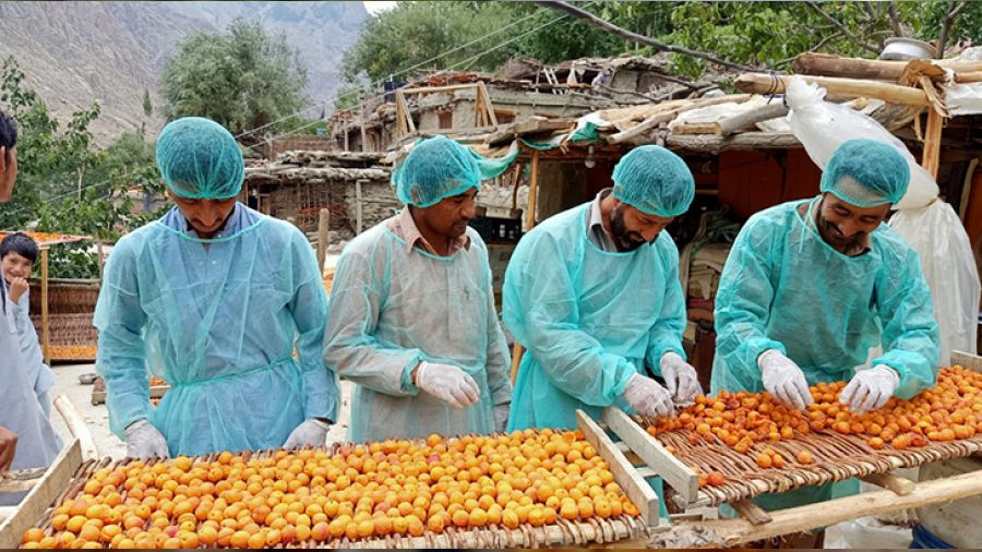 'Türkler bize eğitim versin'