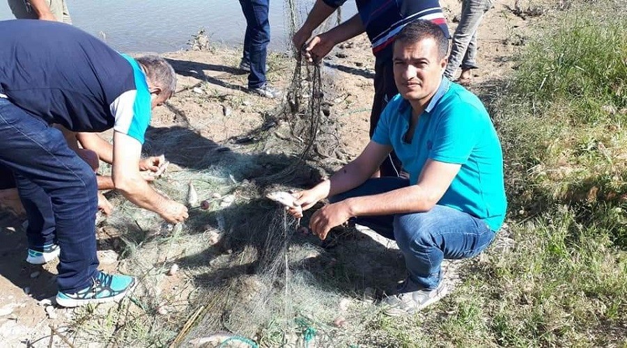 Van Gölünde inci kefali yasağı sona erdi