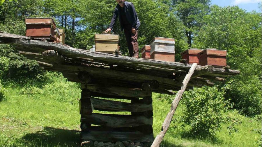 Yüzyıllık arı çardakları tescillendi
