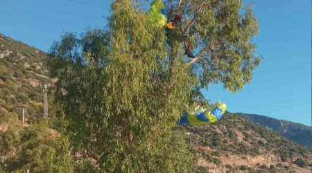 1700 metreden atladı, ağaçta asılı kaldı