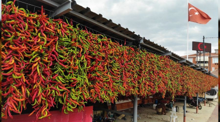 Acı biberde dizme ve kurutma mesaisi