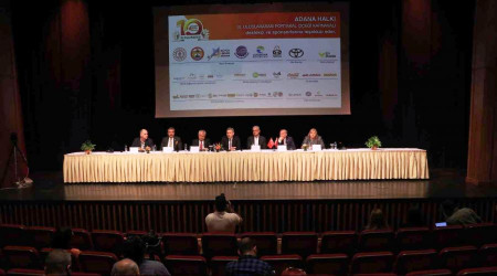 Adana'daki karnavalın tanıtım değeri 49 milyon dolara ulaştı