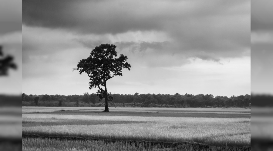 ‘Allah, onun dinini ortadan kaldırır’