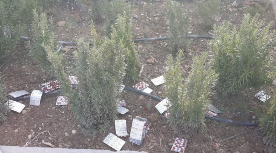 Binlerce uyuşturucu hapı yol kenarına atıp 10 km kaçtılar