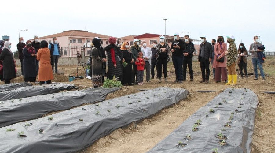 Bismil'de kadınlara yönelik çörek otu okulu açıldı