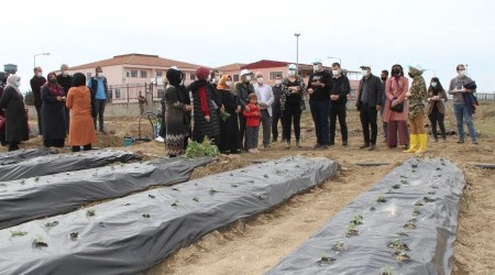 Bismil'de kadınlara yönelik çörek otu okulu açıldı