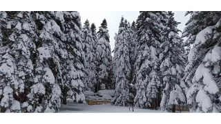 Bursa Uluda'da kar kalnl 1 metreye yaklat.