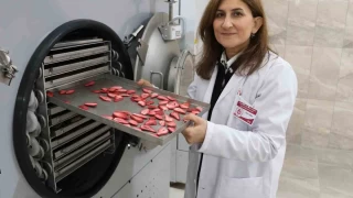 Coğrafi işaretli 'çiçek bamyası' artık erken kurutulacak