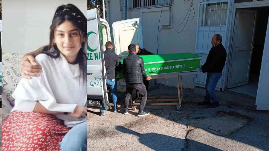 Dilber, kardeşinden silahı almak isterken vurulmuş