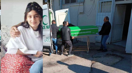 Dilber, kardeşinden silahı almak isterken vurulmuş